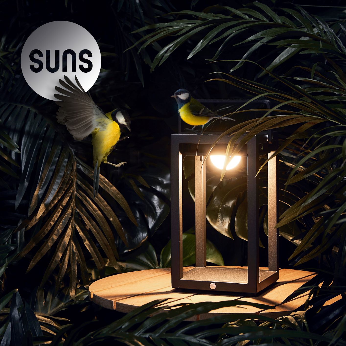 SUNS JACK S solar design light