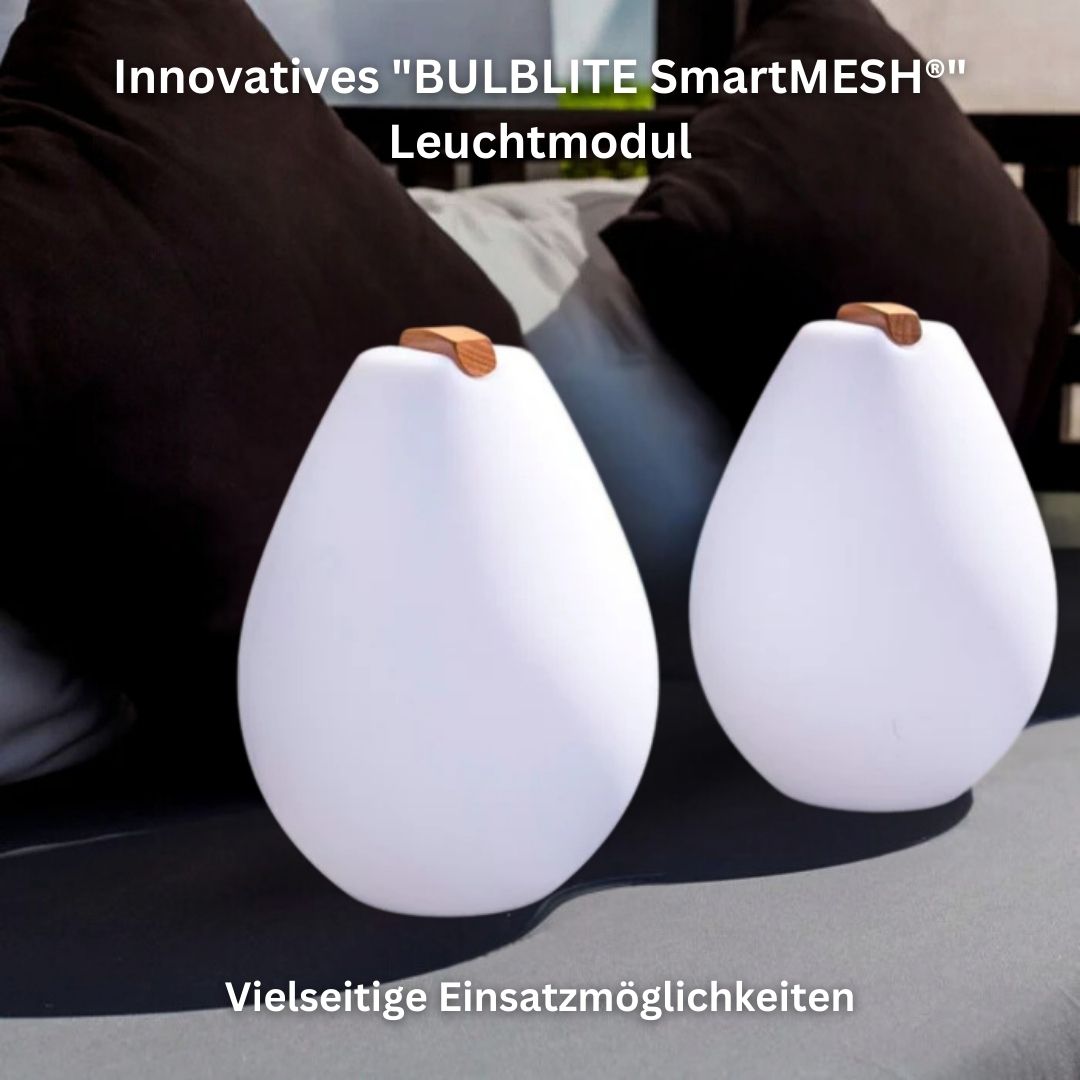 VESSEL2S, wireless light with wooden handle "App-control